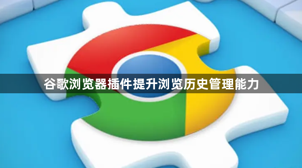 谷歌浏览器插件提升浏览历史管理能力1
