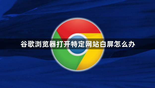谷歌浏览器打开特定网站白屏怎么办1