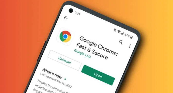 Google Chrome浏览器下载安装包多平台适配教程