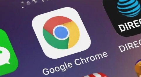 Google Chrome浏览器插件代码加密与混淆方法
