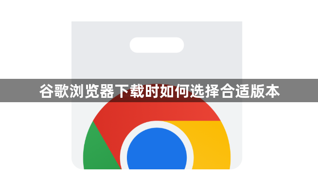 谷歌浏览器下载时如何选择合适版本1