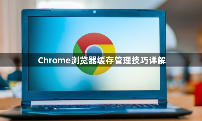 Chrome浏览器缓存管理技巧详解1