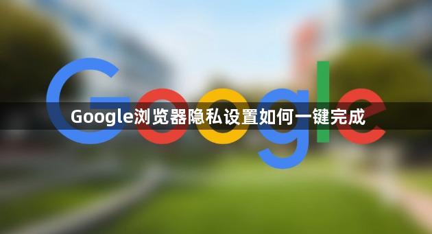 Google浏览器隐私设置如何一键完成1