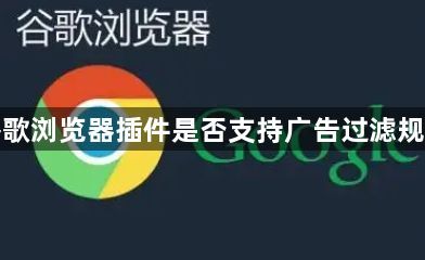 谷歌浏览器插件是否支持广告过滤规则1