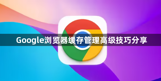 Google浏览器缓存管理高级技巧分享1