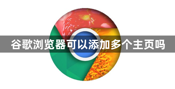 谷歌浏览器可以添加多个主页吗1