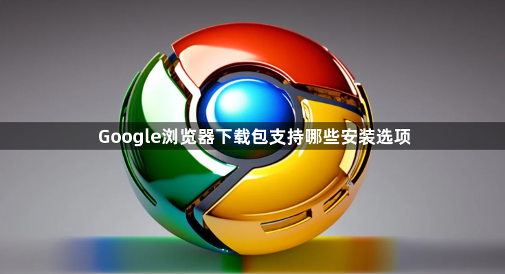 Google浏览器下载包支持哪些安装选项1