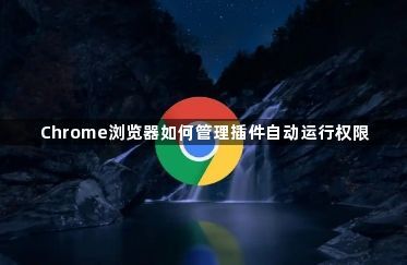 Chrome浏览器如何管理插件自动运行权限1