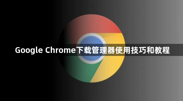 Google Chrome下载管理器使用技巧和教程1