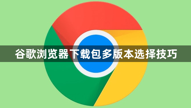 谷歌浏览器下载包多版本选择技巧1