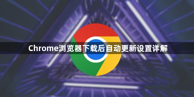 Chrome浏览器下载后自动更新设置详解1