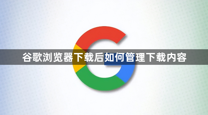 谷歌浏览器下载后如何管理下载内容1