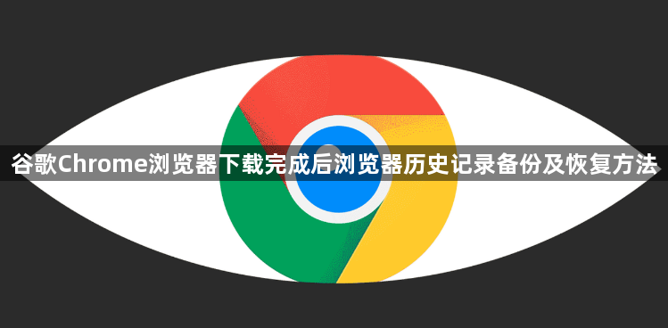 谷歌Chrome浏览器下载完成后浏览器历史记录备份及恢复方法1