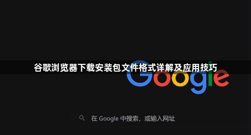 谷歌浏览器下载安装包文件格式详解及应用技巧1