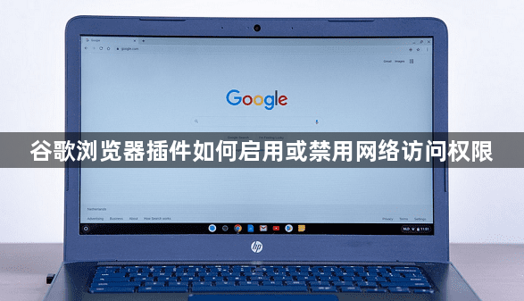 谷歌浏览器插件如何启用或禁用网络访问权限1