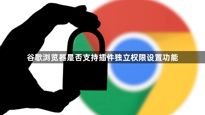 谷歌浏览器是否支持插件独立权限设置功能1