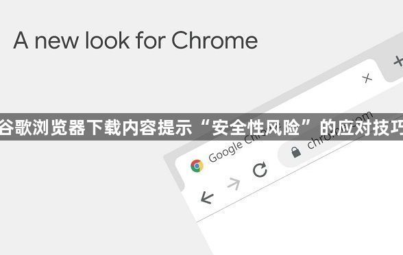 谷歌浏览器下载内容提示“安全性风险”的应对技巧1