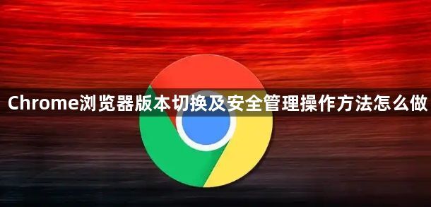 Chrome浏览器版本切换及安全管理操作方法怎么做1