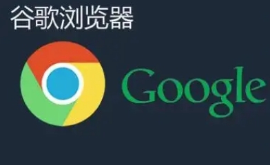 google Chrome浏览器安卓端视频播放加速版下载经验