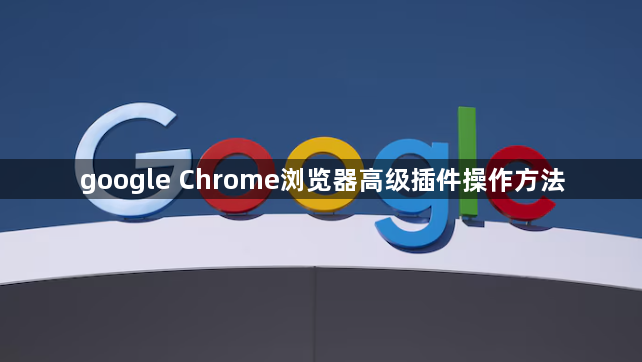 google Chrome浏览器高级插件操作方法1