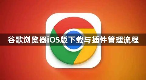 谷歌浏览器iOS版下载与插件管理流程1