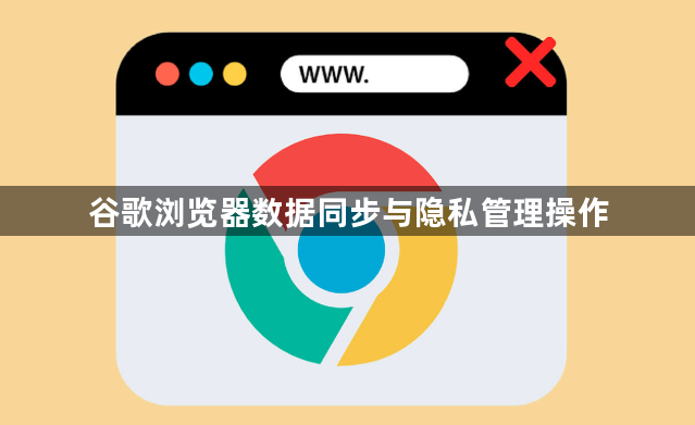 谷歌浏览器数据同步与隐私管理操作1