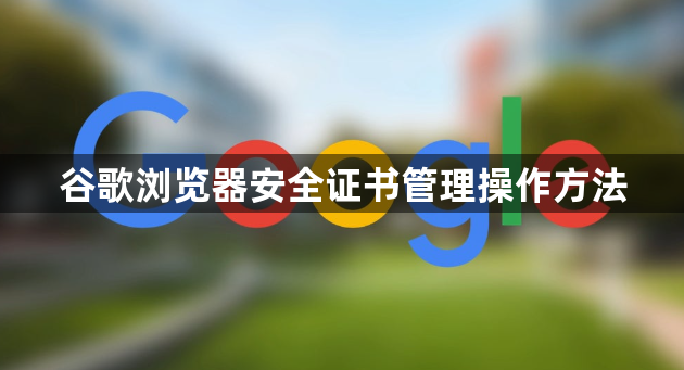 谷歌浏览器安全证书管理操作方法1